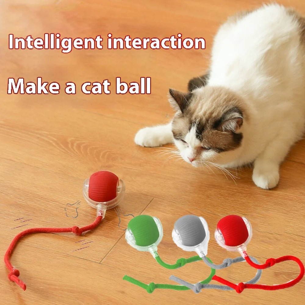 Automatic Rolling Ball with Tail Light – USB Rechargeable Smart Interactive Toy for Cats & Dogs