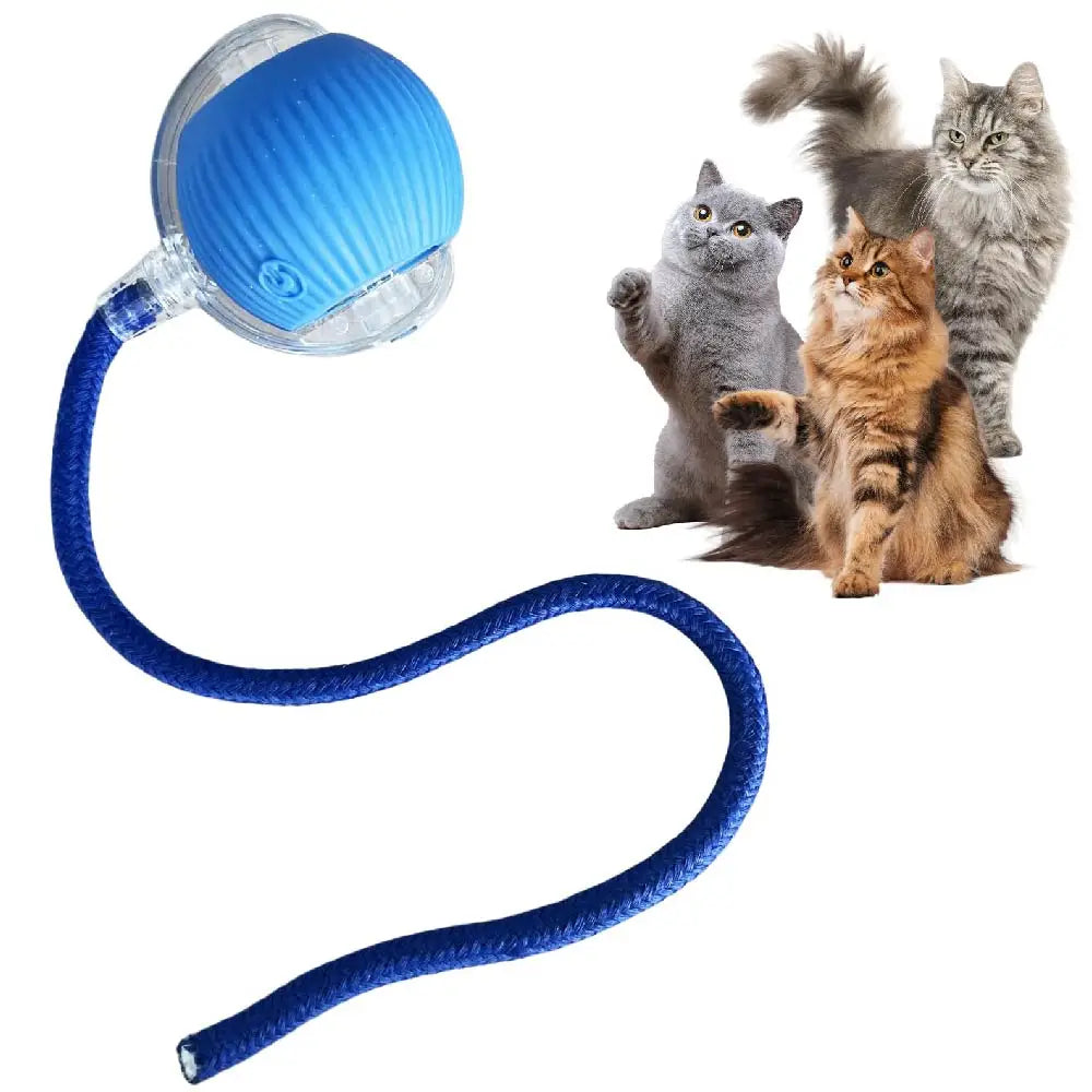Automatic Rolling Ball with Tail Light – USB Rechargeable Smart Interactive Toy for Cats & Dogs