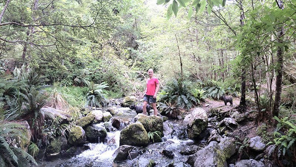 Great Walks