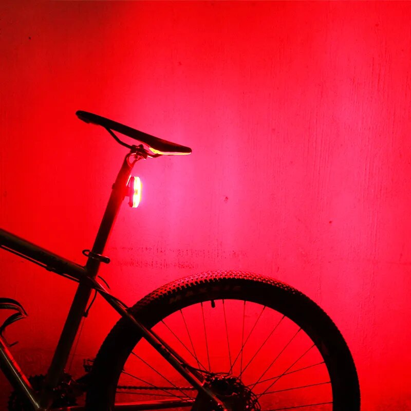 WHEEL UP Bike Taillight Waterproof Riding Rear light Led Usb Chargeable Mountain Bike Cycling Light