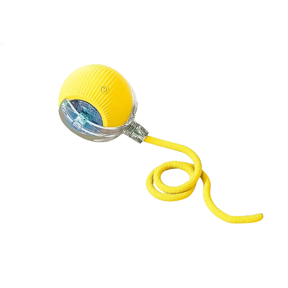 Automatic Rolling Ball with Tail Light – USB Rechargeable Smart Interactive Toy for Cats & Dogs