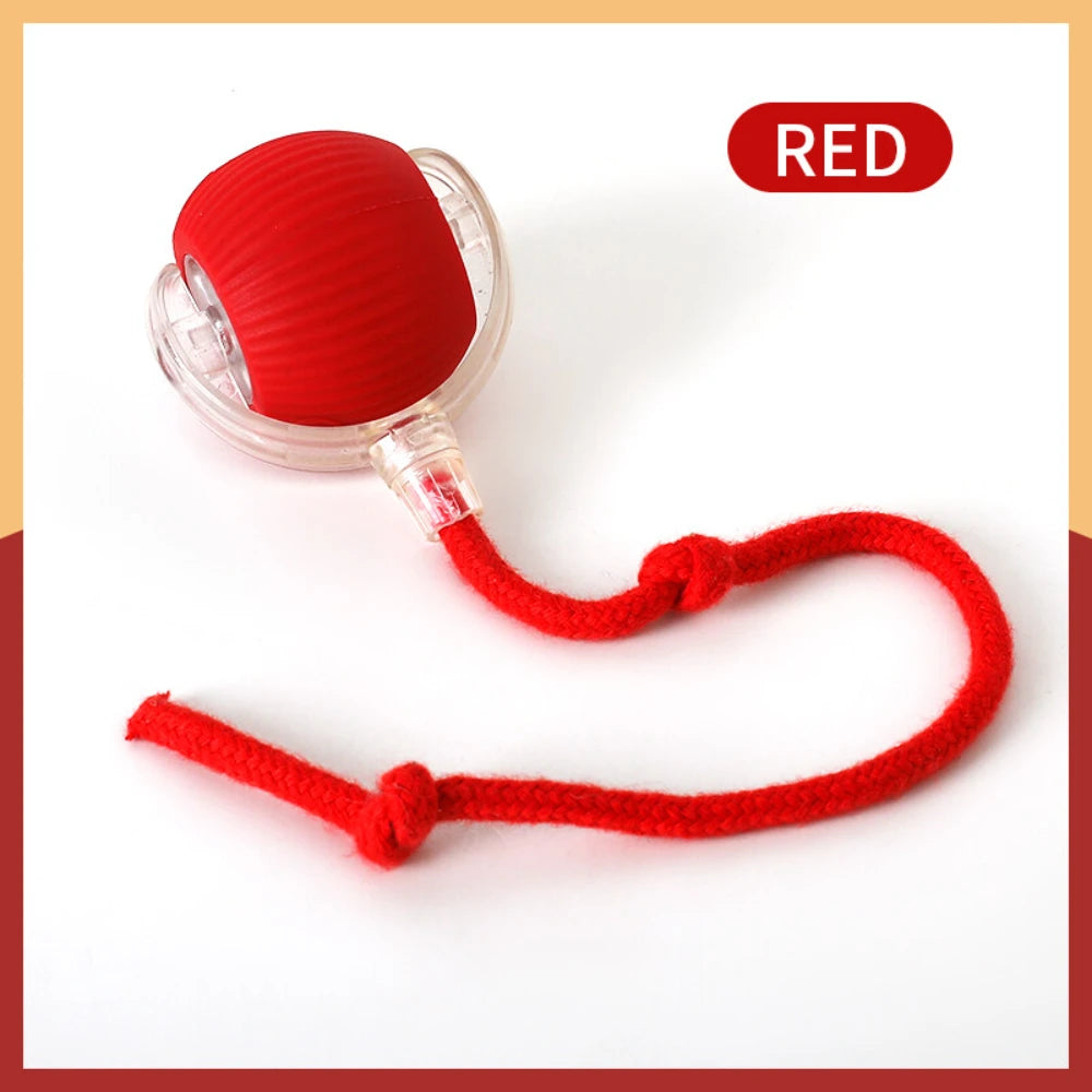 Automatic Rolling Ball with Tail Light – USB Rechargeable Smart Interactive Toy for Cats & Dogs
