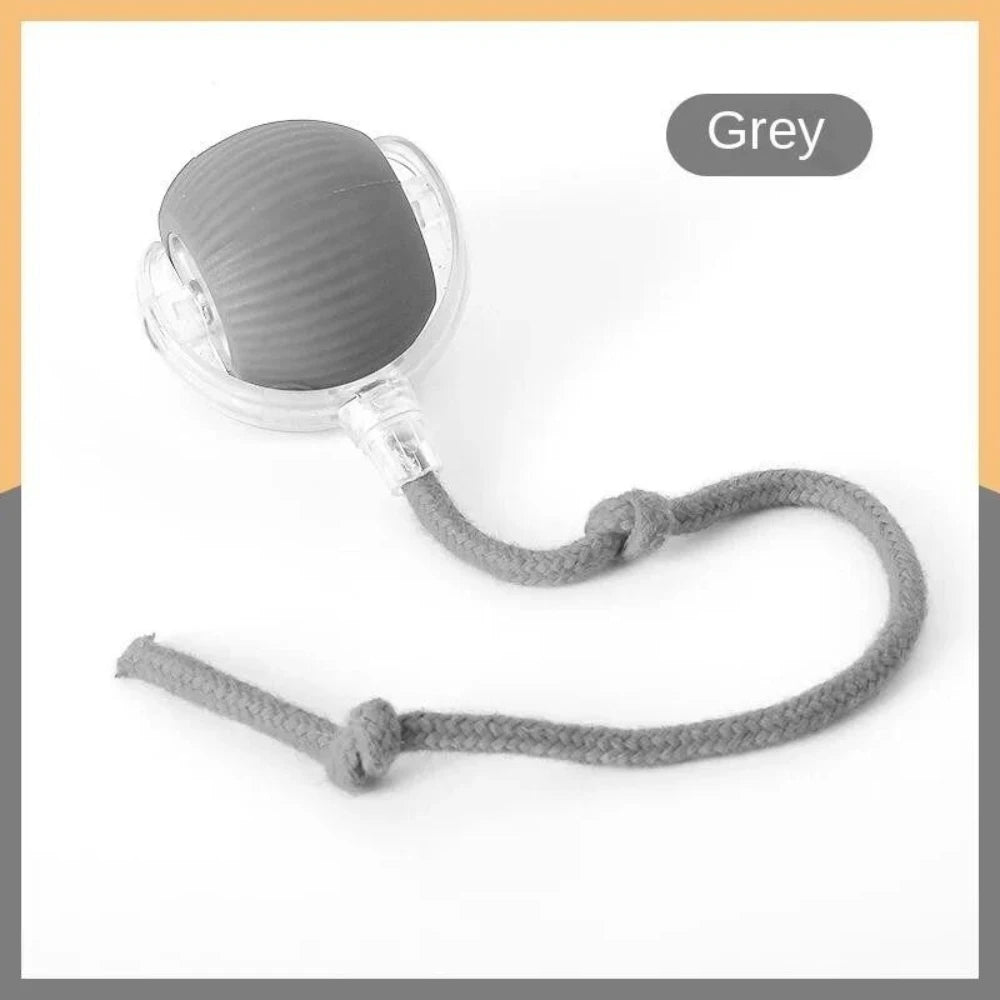 Automatic Rolling Ball with Tail Light – USB Rechargeable Smart Interactive Toy for Cats & Dogs