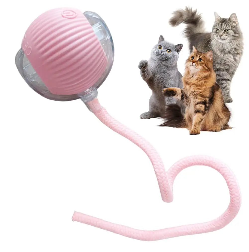 Automatic Rolling Ball with Tail Light – USB Rechargeable Smart Interactive Toy for Cats & Dogs