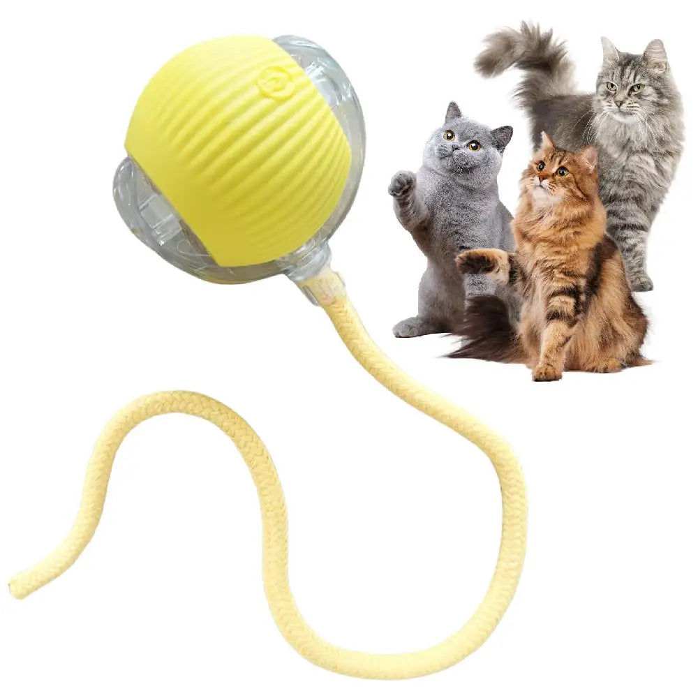 Automatic Rolling Ball with Tail Light – USB Rechargeable Smart Interactive Toy for Cats & Dogs