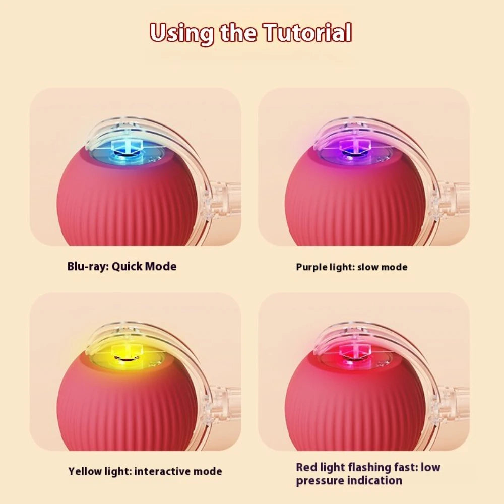 Automatic Rolling Ball with Tail Light – USB Rechargeable Smart Interactive Toy for Cats & Dogs