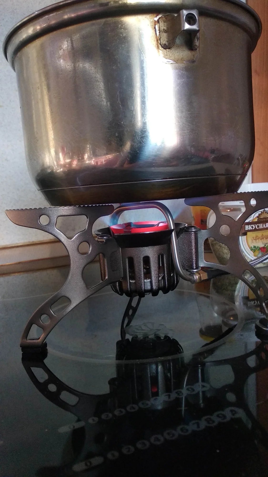 Portable Outdoor Gasoline Stove Camping Oil/Gas Multi-Use Burners Hiking Picnic Cooker