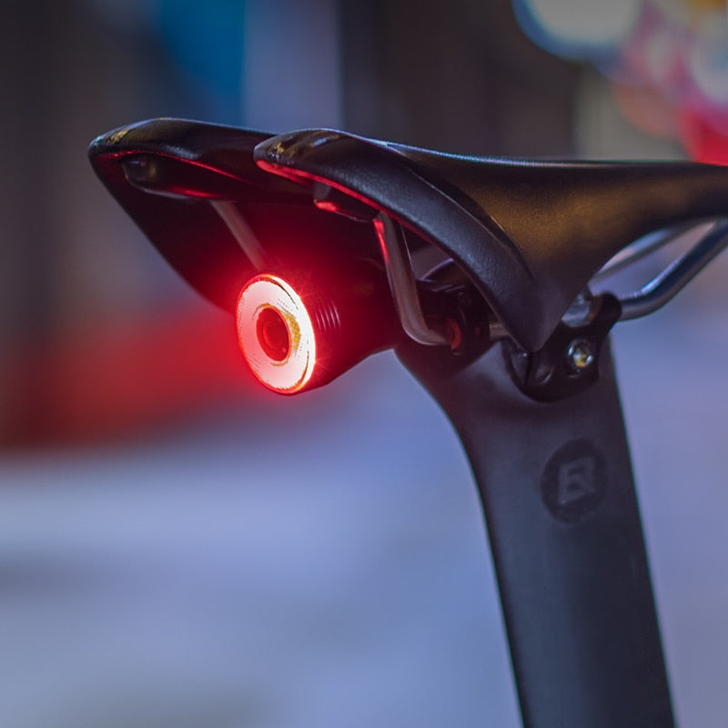Bicycle Smart Auto Brake Sensing Light IPx6 Waterproof LED Charging Cycling Taillight
